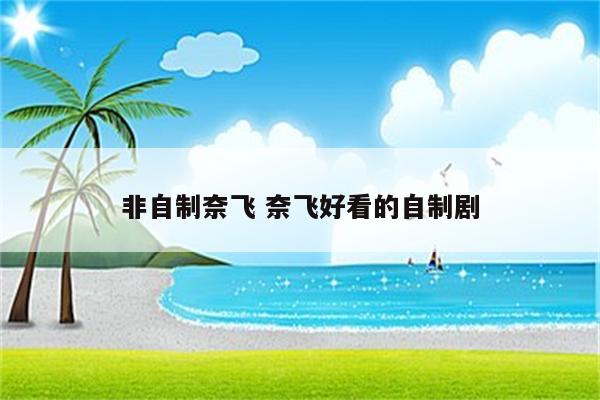 非自制奈飞 奈飞好看的自制剧