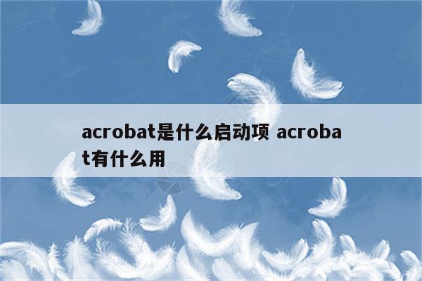 acrobat是什么启动项 acrobat有什么用