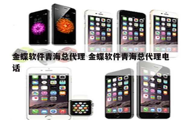 金蝶软件青海总代理 金蝶软件青海总代理电话