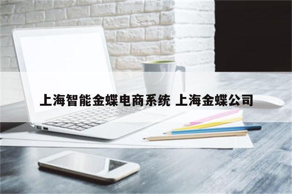 上海智能金蝶电商系统 上海金蝶公司