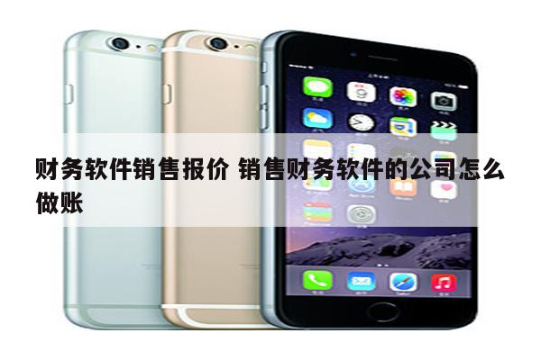 财务软件销售报价 销售财务软件的公司怎么做账