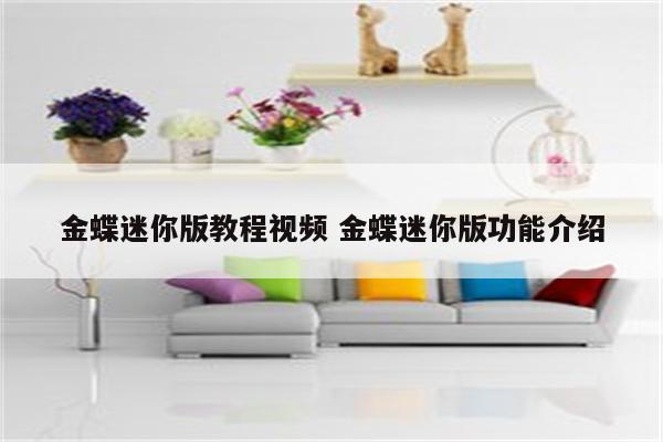 金蝶迷你版教程视频 金蝶迷你版功能介绍