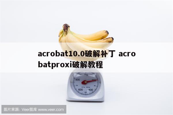 acrobat10.0破解补丁 acrobatproxi破解教程