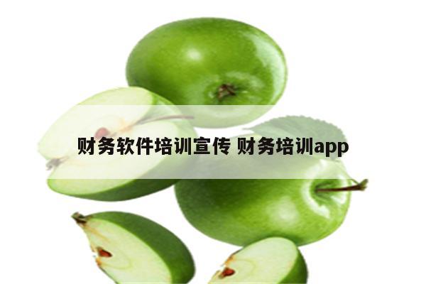 财务软件培训宣传 财务培训app