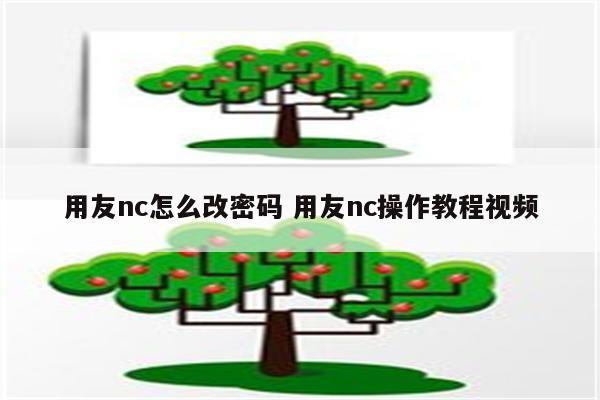 用友nc怎么改密码 用友nc操作教程视频