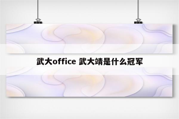 武大office 武大靖是什么冠军
