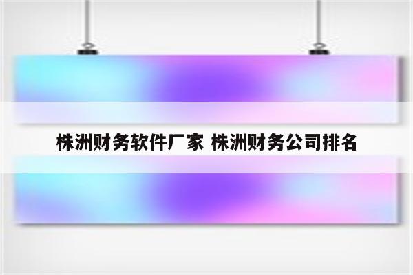 株洲财务软件厂家 株洲财务公司排名