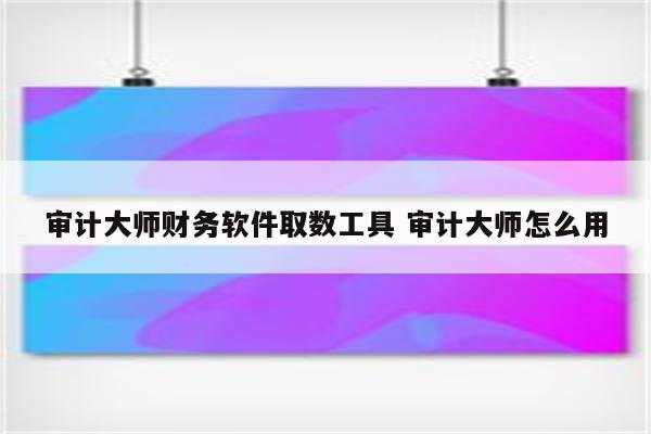审计大师财务软件取数工具 审计大师怎么用
