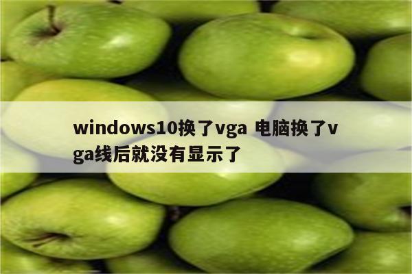 windows10换了vga 电脑换了vga线后就没有显示了