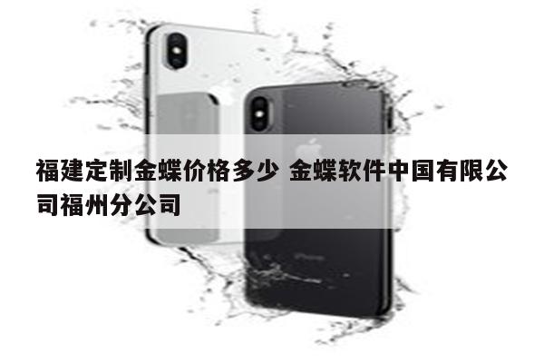 福建定制金蝶价格多少 金蝶软件中国有限公司福州分公司