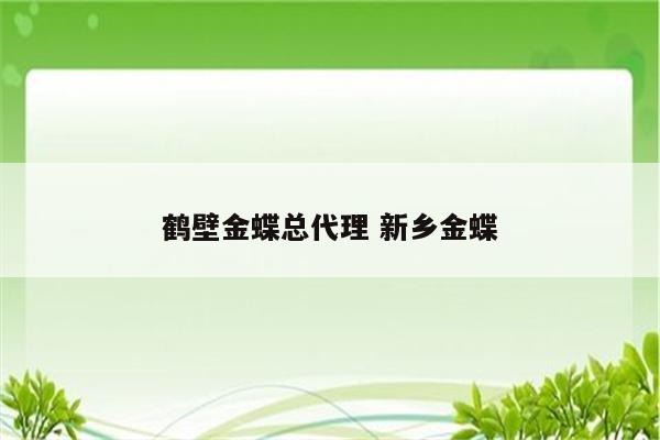 鹤壁金蝶总代理 新乡金蝶