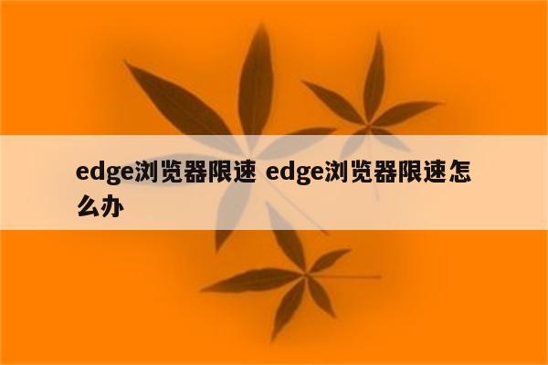edge浏览器限速 edge浏览器限速怎么办