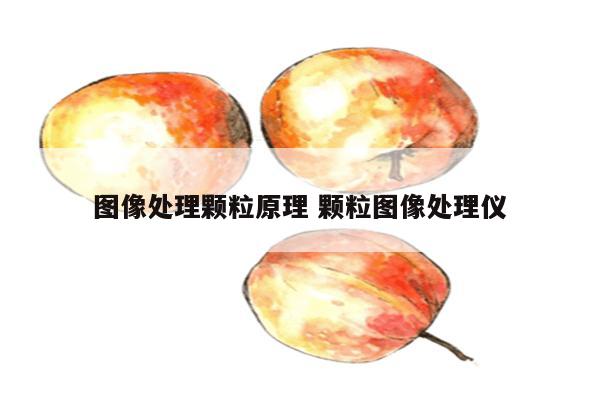 图像处理颗粒原理 颗粒图像处理仪