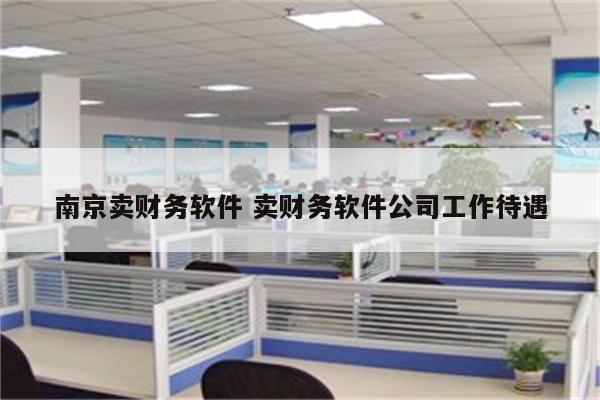 南京卖财务软件 卖财务软件公司工作待遇