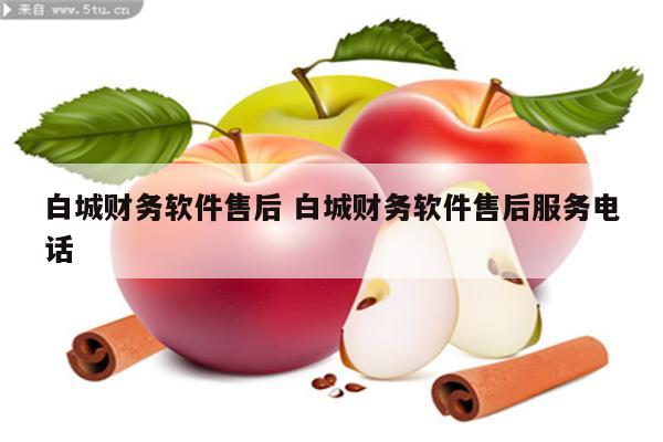 白城财务软件售后 白城财务软件售后服务电话