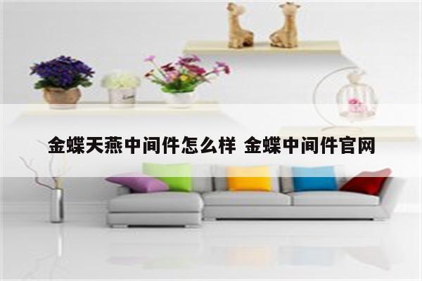 金蝶天燕中间件怎么样 金蝶中间件官网