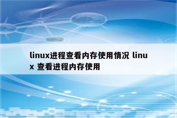 linux进程查看内存使用情况 linux 查看进程内存使用