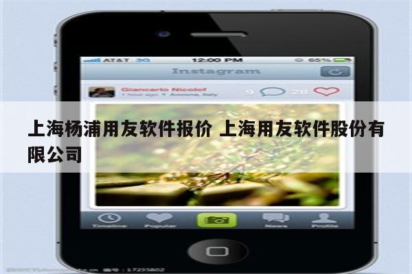 上海杨浦用友软件报价 上海用友软件股份有限公司