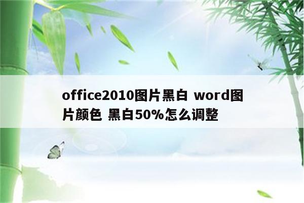 office2010图片黑白 word图片颜色 黑白50%怎么调整