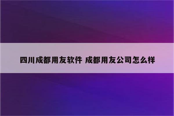 四川成都用友软件 成都用友公司怎么样