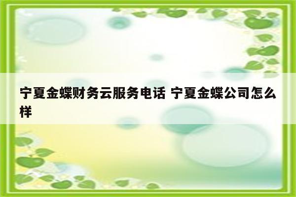 宁夏金蝶财务云服务电话 宁夏金蝶公司怎么样