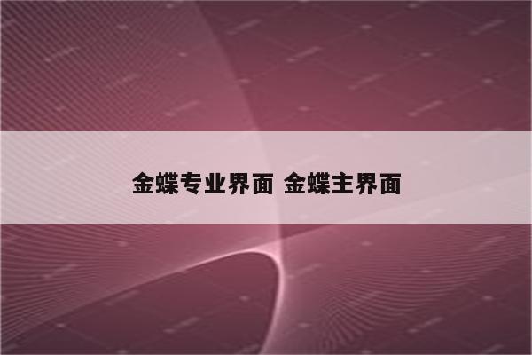 金蝶专业界面 金蝶主界面
