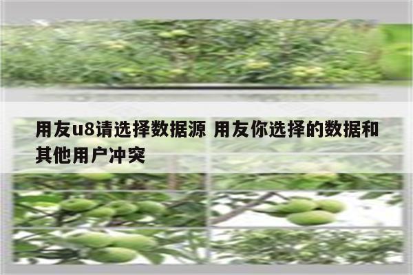 用友u8请选择数据源 用友你选择的数据和其他用户冲突