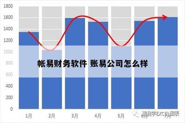 帐易财务软件 账易公司怎么样