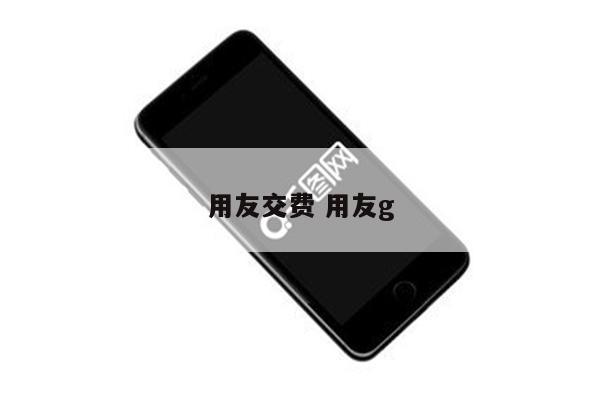 用友交费 用友g