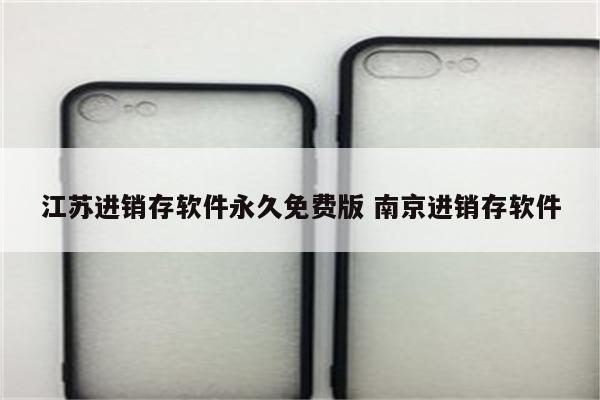 江苏进销存软件永久免费版 南京进销存软件