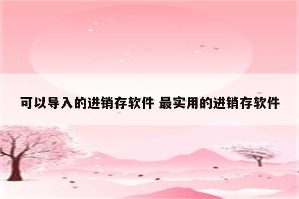 可以导入的进销存软件 最实用的进销存软件