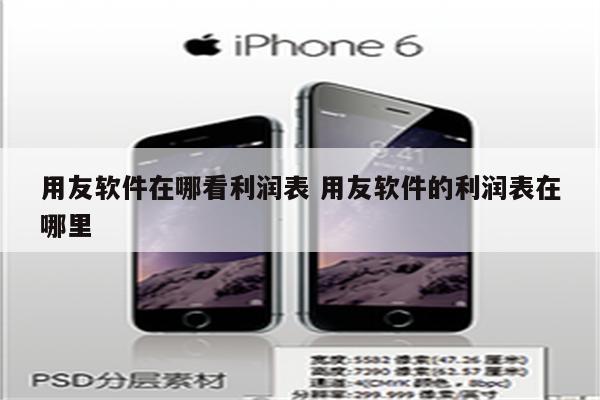 用友软件在哪看利润表 用友软件的利润表在哪里