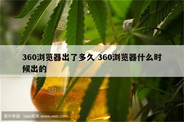 360浏览器出了多久 360浏览器什么时候出的