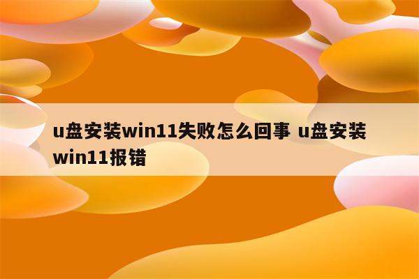 u盘安装win11失败怎么回事 u盘安装win11报错
