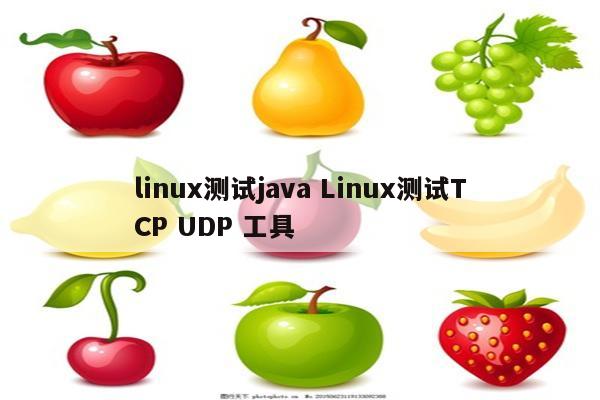 linux测试java Linux测试TCP UDP 工具