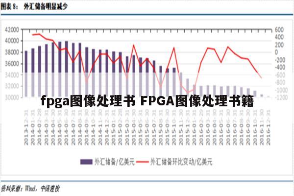 fpga图像处理书 FPGA图像处理书籍