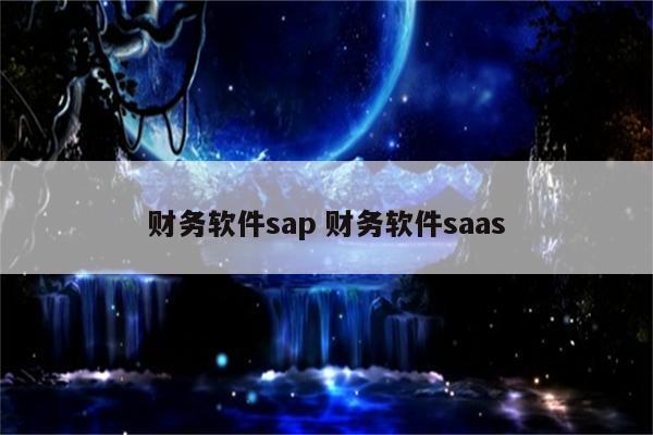 财务软件sap 财务软件saas
