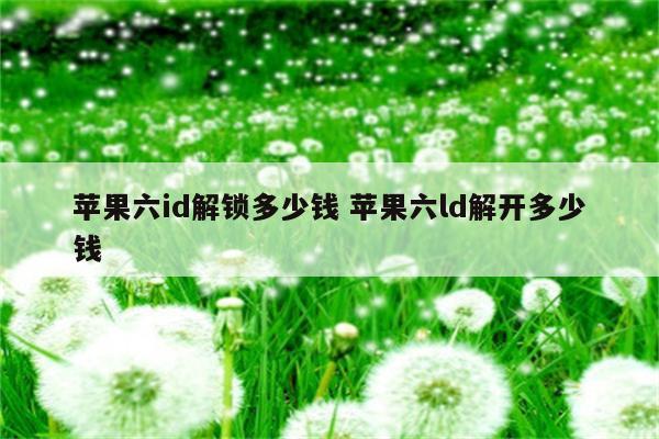 苹果六id解锁多少钱 苹果六ld解开多少钱