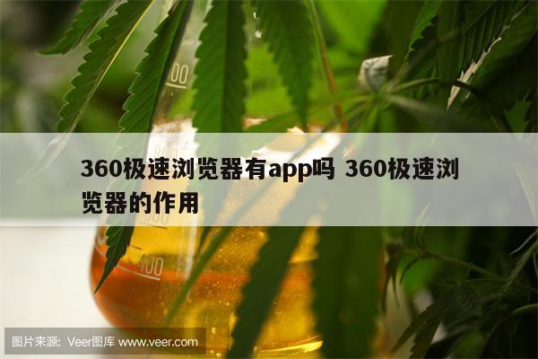 360极速浏览器有app吗 360极速浏览器的作用