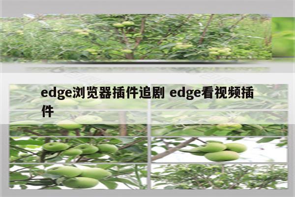 edge浏览器插件追剧 edge看视频插件