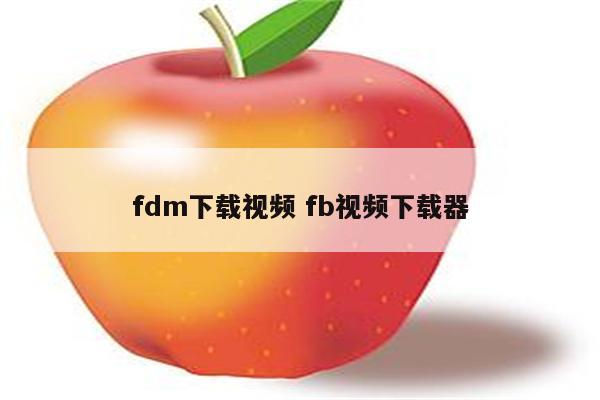 fdm下载视频 fb视频下载器