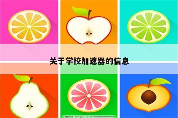 关于学校加速器的信息