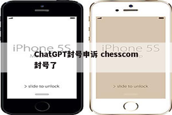 ChatGPT封号申诉 chesscom封号了
