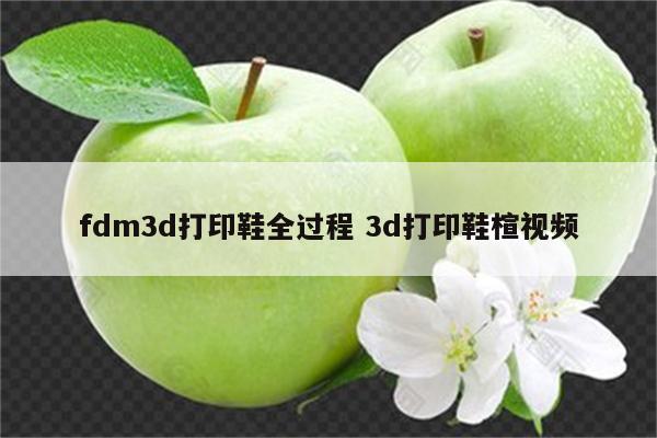 fdm3d打印鞋全过程 3d打印鞋楦视频