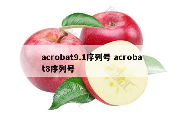 acrobat9.1序列号 acrobat8序列号
