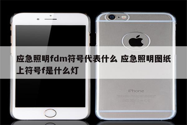 应急照明fdm符号代表什么 应急照明图纸上符号f是什么灯
