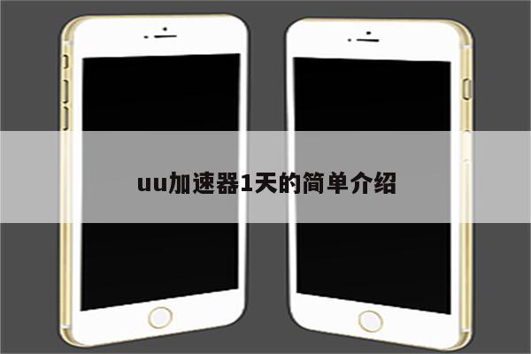 uu加速器1天的简单介绍