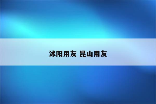 沭阳用友 昆山用友