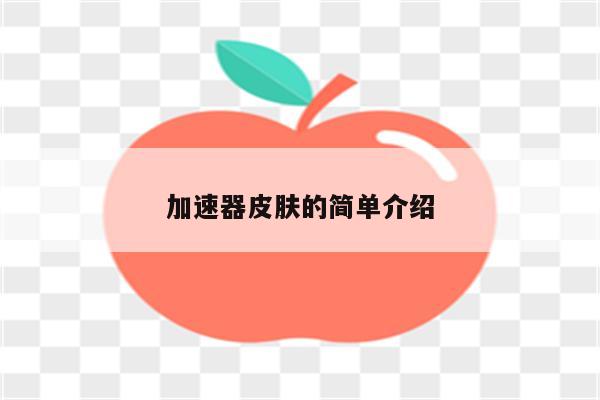 加速器皮肤的简单介绍