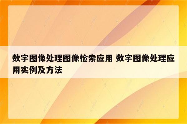 数字图像处理图像检索应用 数字图像处理应用实例及方法